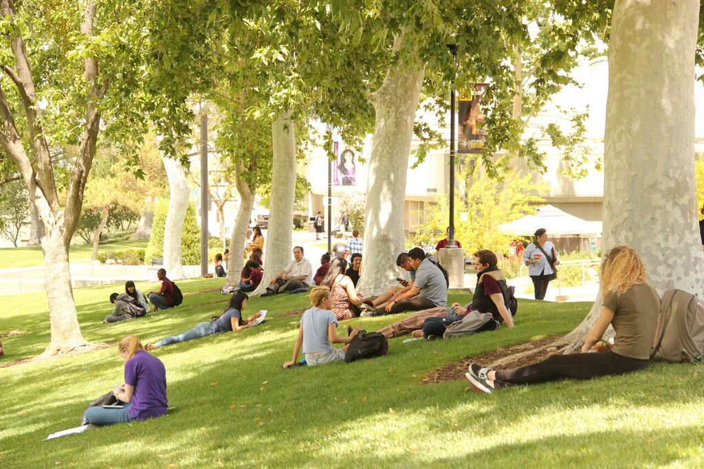 College Californien sabbatår