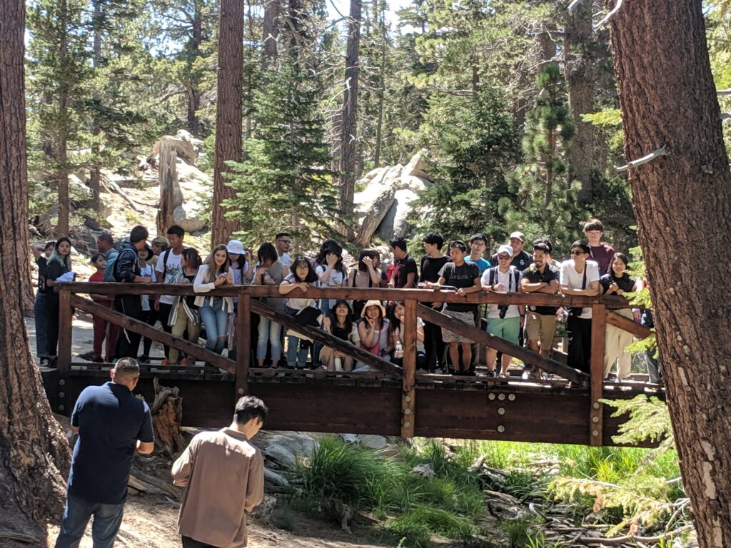 College Californien sabbatår