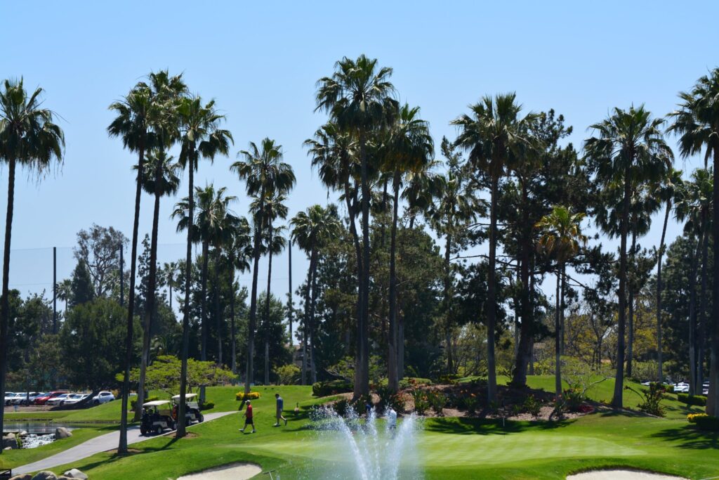 College Californien sabbatår