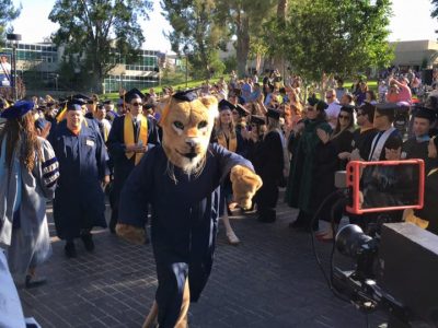 College Californien sabbatår